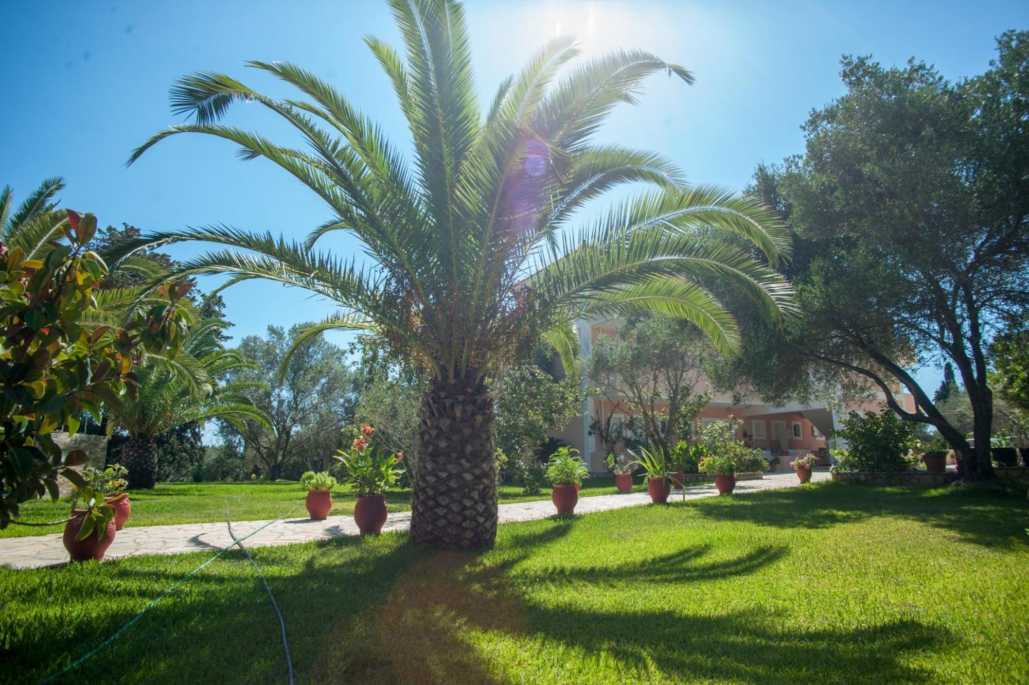 Helena Inn Kefalonia Island المظهر الخارجي الصورة